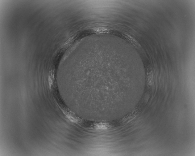 X0000056000618200509092047