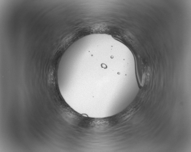 X0000056000619200509092047