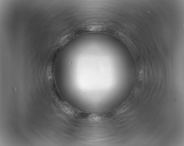 X0000056000620200509092047