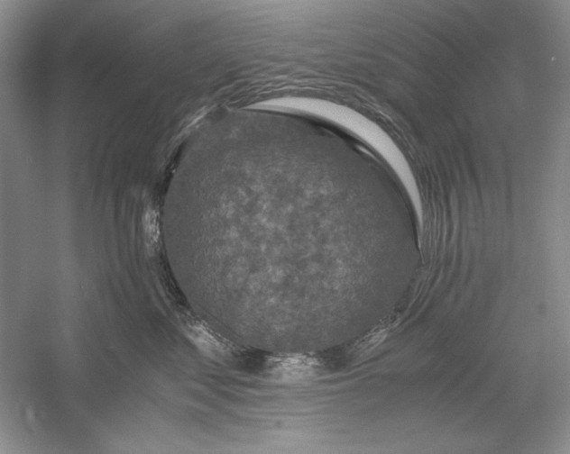 X0000056000621200509092047