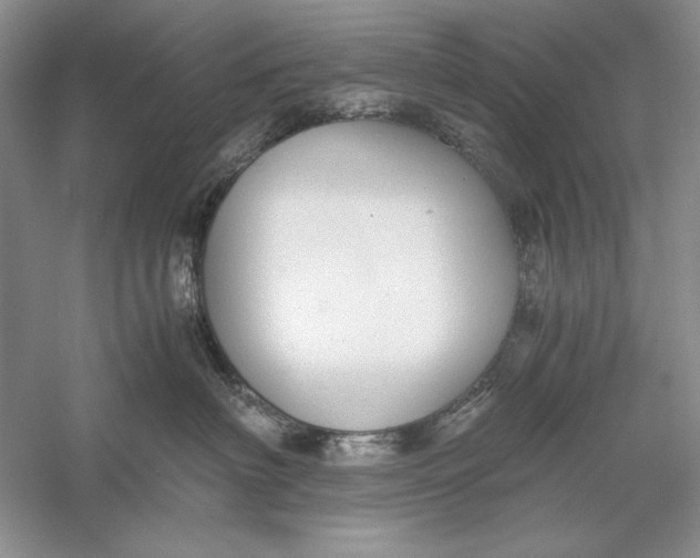 X0000056000622200509092047