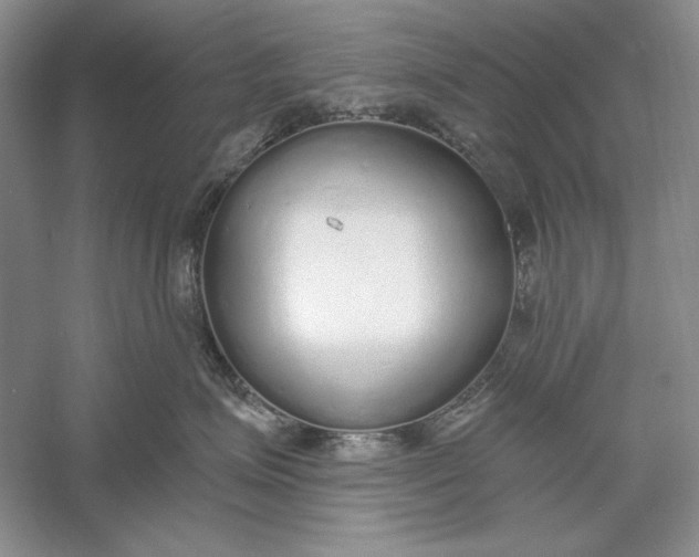 X0000056000623200509092047