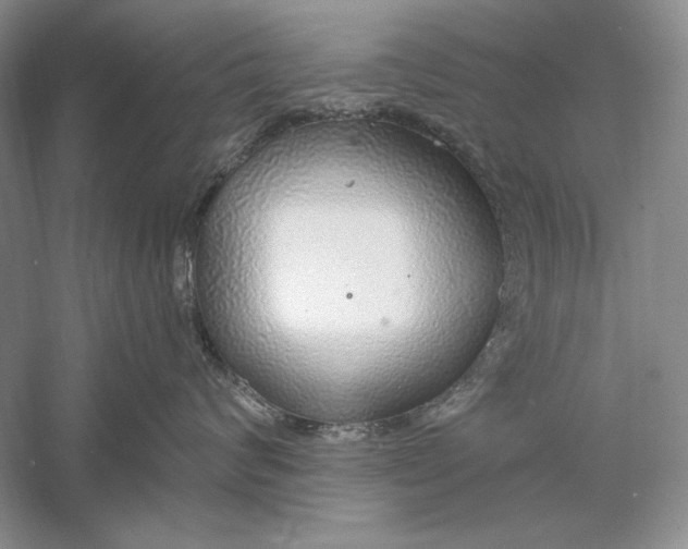 X0000056000624200509092047