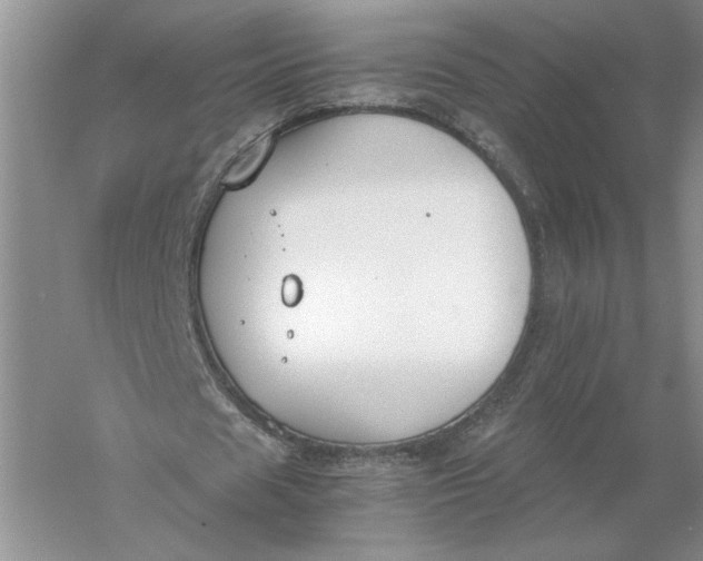 X0000056000625200509092046