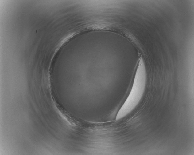 X0000056000626200509092046