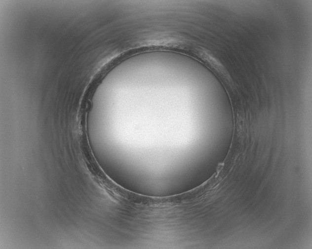 X0000056000628200509092046