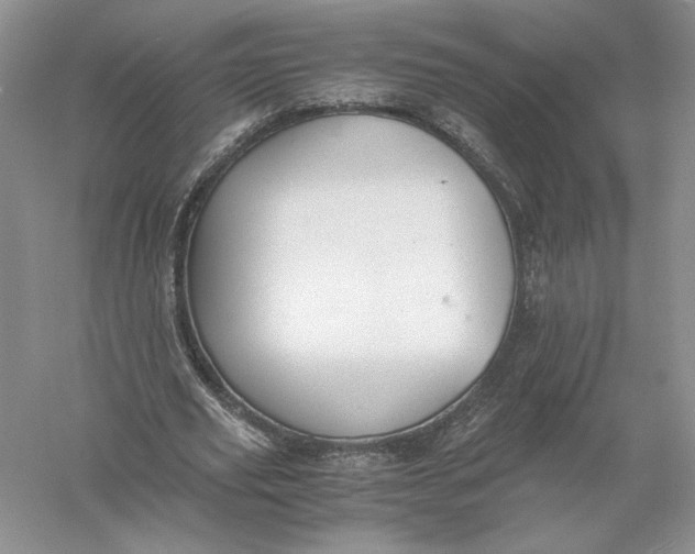 X0000056000629200509092046