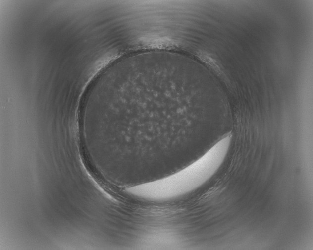 X0000056000630200509092046