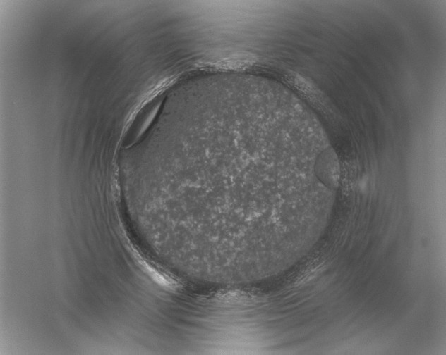 X0000056000634200509092047