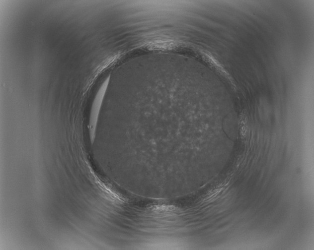 X0000056000637200509092047