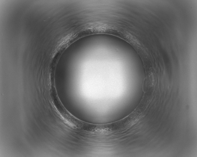 X0000056000638200509092047