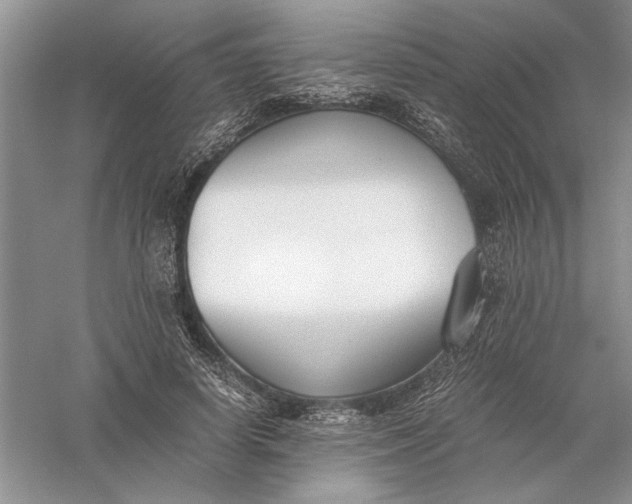 X0000056000642200509092047