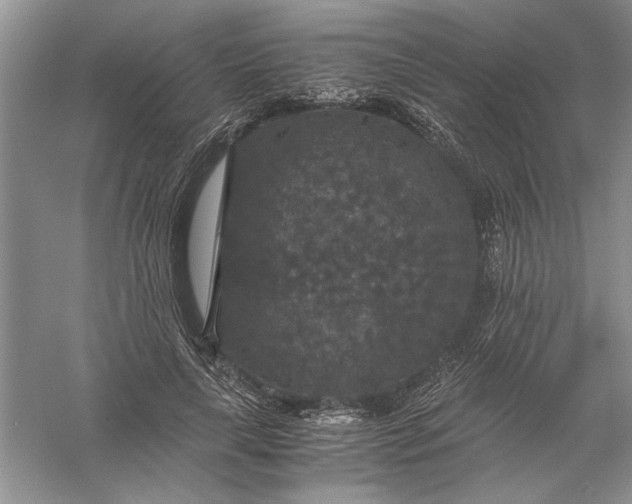 X0000056000643200509092047