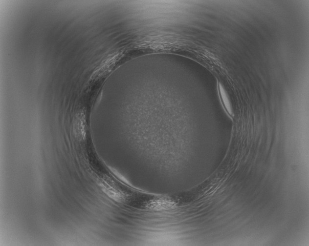 X0000056000644200509092047