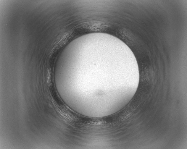 X0000056000646200509092047