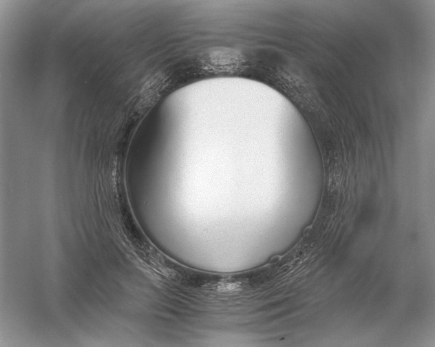 X0000056000647200509092047