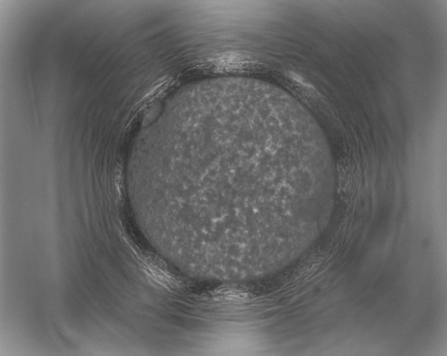 X0000056000648200509092047