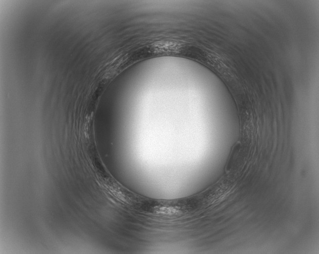 X0000056000649200509092047