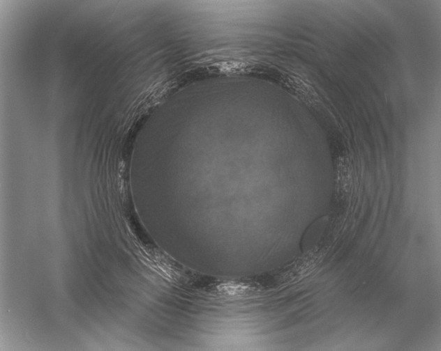 X0000056000650200509092047