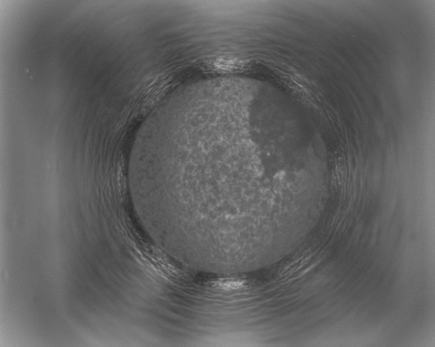 X0000056000651200509092047