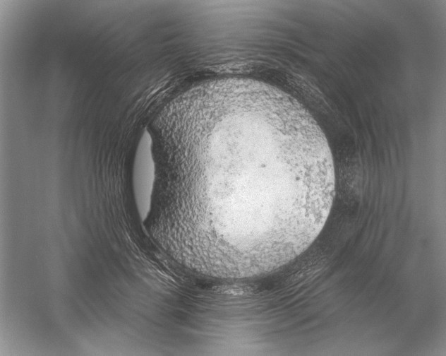 X0000056000652200509092047