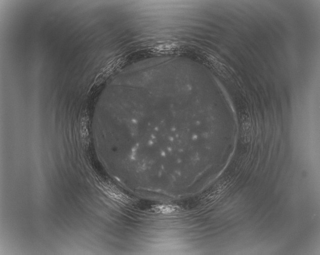 X0000056000654200509092047