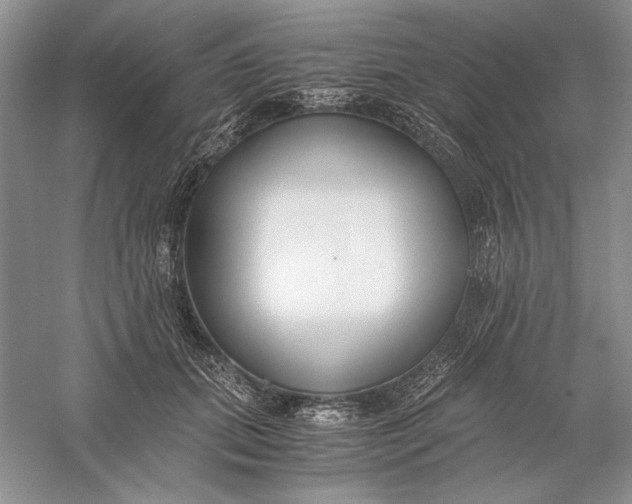 X0000056000655200509092047