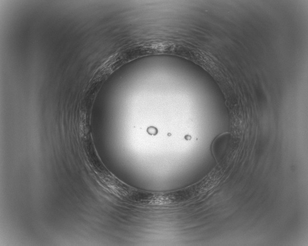 X0000056000656200509092047