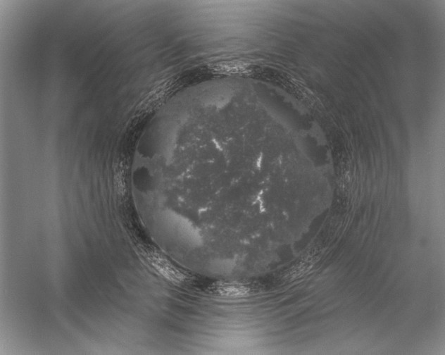 X0000056000658200509092047