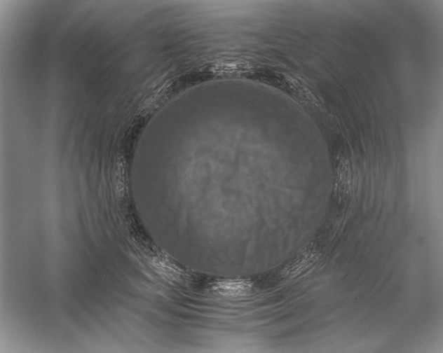 X0000056000659200509092047