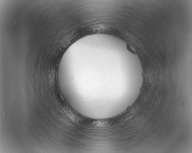 X0000056000660200509092047