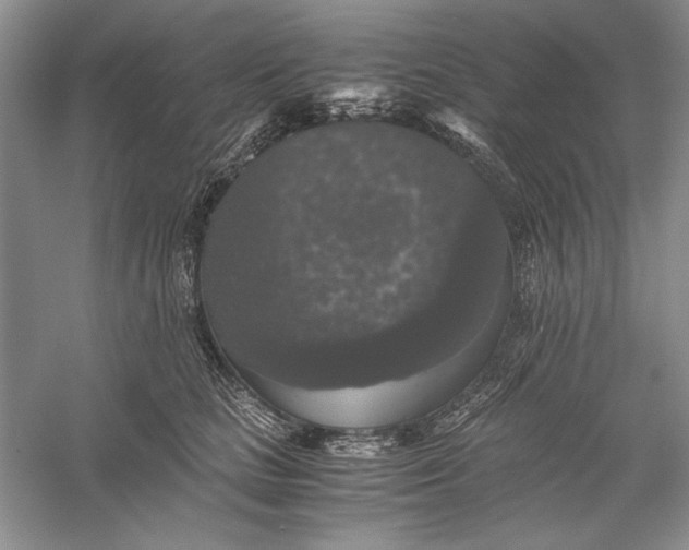 X0000056000661200509092047