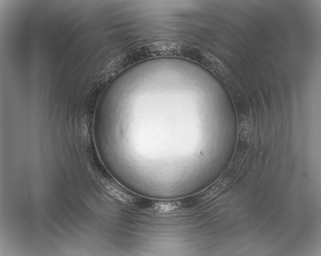 X0000056000662200509092047