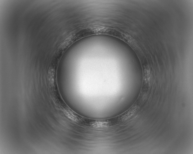 X0000056000664200509092047