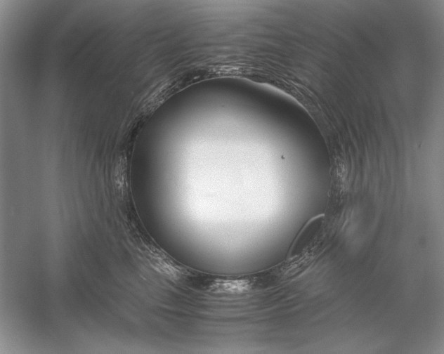 X0000056000665200509092047