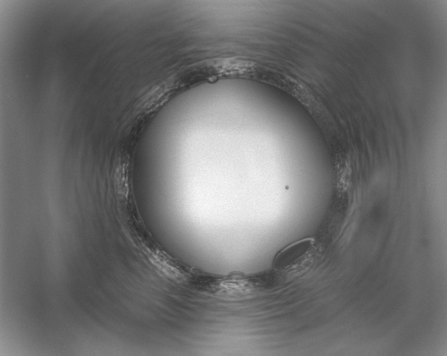 X0000056000666200509092047