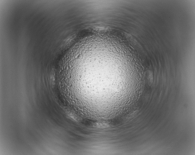 X0000056000668200509092047