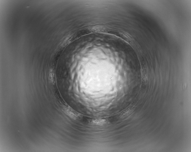 X0000056000669200509092047