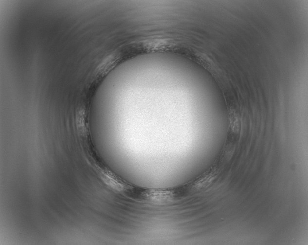 X0000056000670200509092047