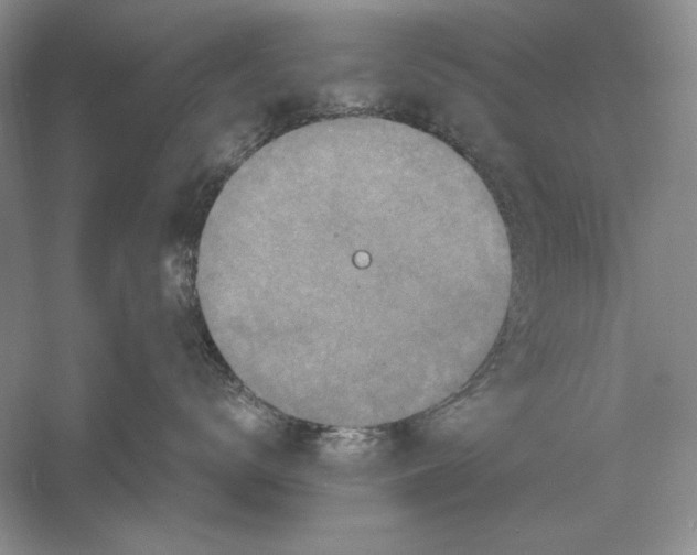 X0000056000672200509092047