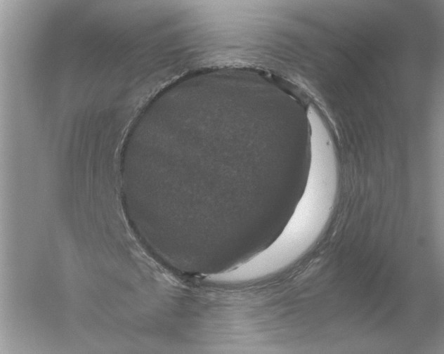 X0000056000673200509092046