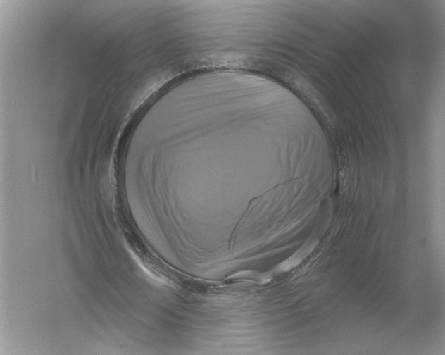 X0000056000674200509092046