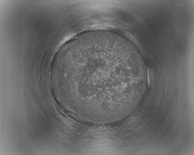 X0000056000675200509092046