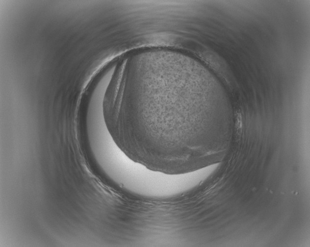 X0000056000676200509092046