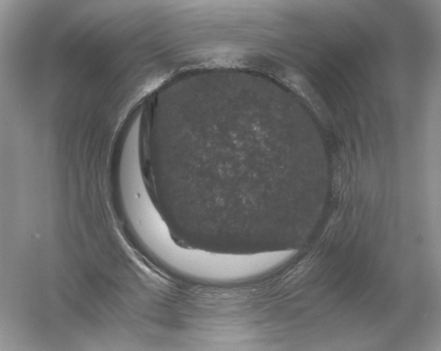 X0000056000677200509092046