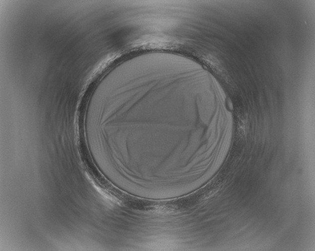 X0000056000678200509092046