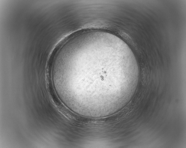 X0000056000680200509092046