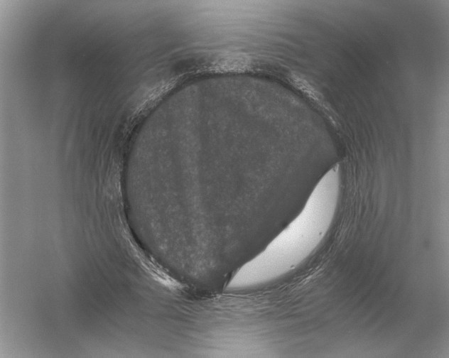 X0000056000681200509092046