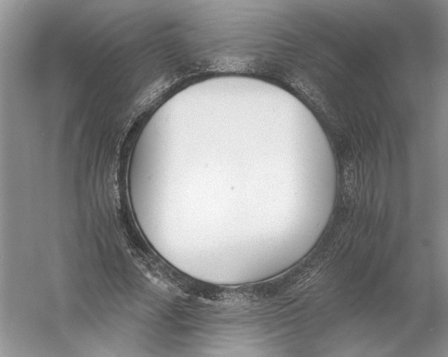 X0000056000682200509092046