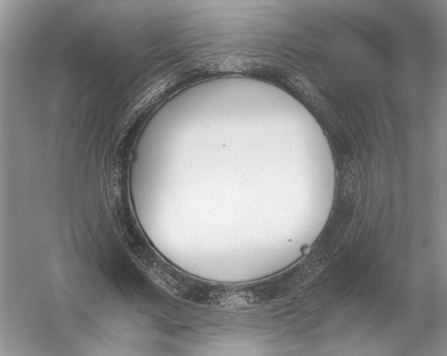 X0000056000683200509092046